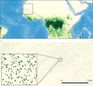 Seeing the forest and the trees: dryland trees grow in isolation without forming forests (greenish colors in upper figure), which makes them invisible for conventional satellite systems. A new study has used new sensors and artificial intelligence to map all individual trees within the rectangle over West Africa, showing that millions of trees grow in areas known as desert or grassland.