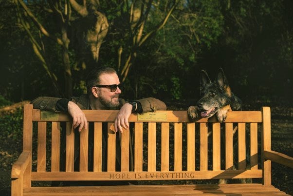 Netflix donates benches to Cardiff parks to &#39;commemorate&#39; Ricky Gervais&#39;  &#39;After Life&#39;