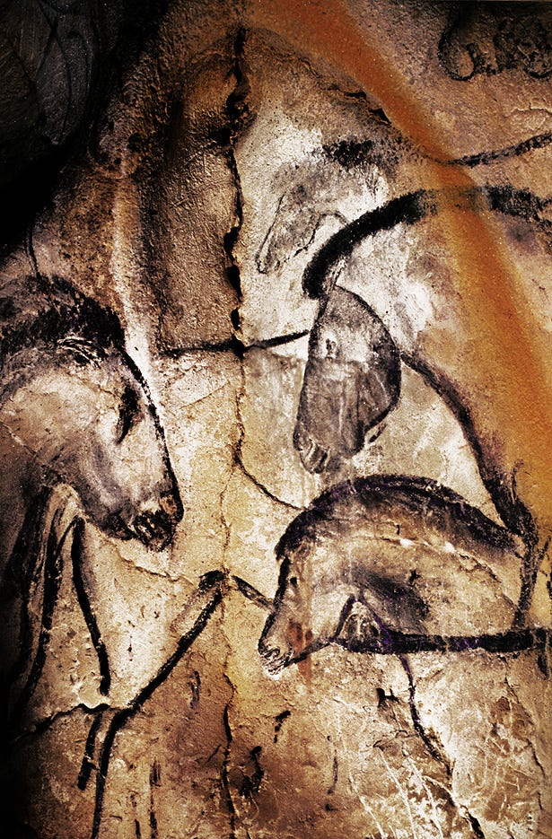 Chauvet Cave Paintings Gallery