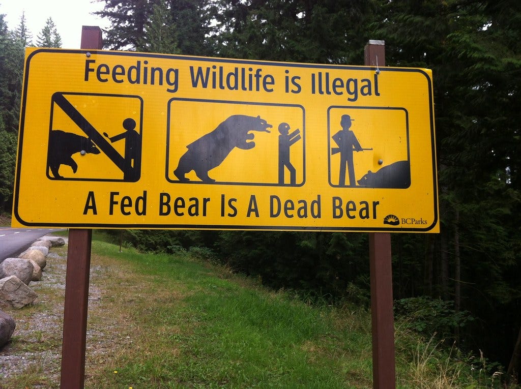A fed bear is a dead bear. | I don't know why I think this a… | Flickr