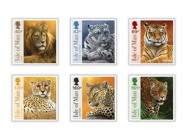 Big Cats Big Cats