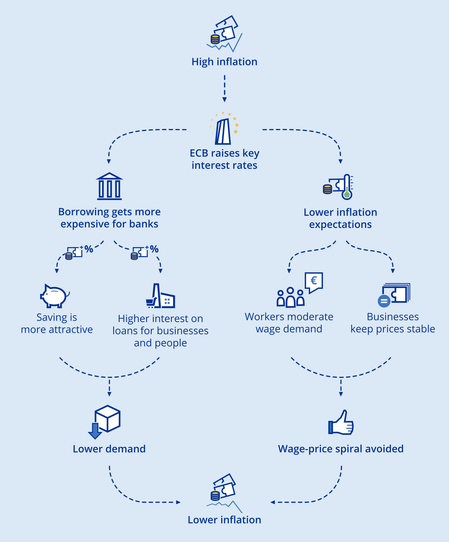 What is the role of the ECB?