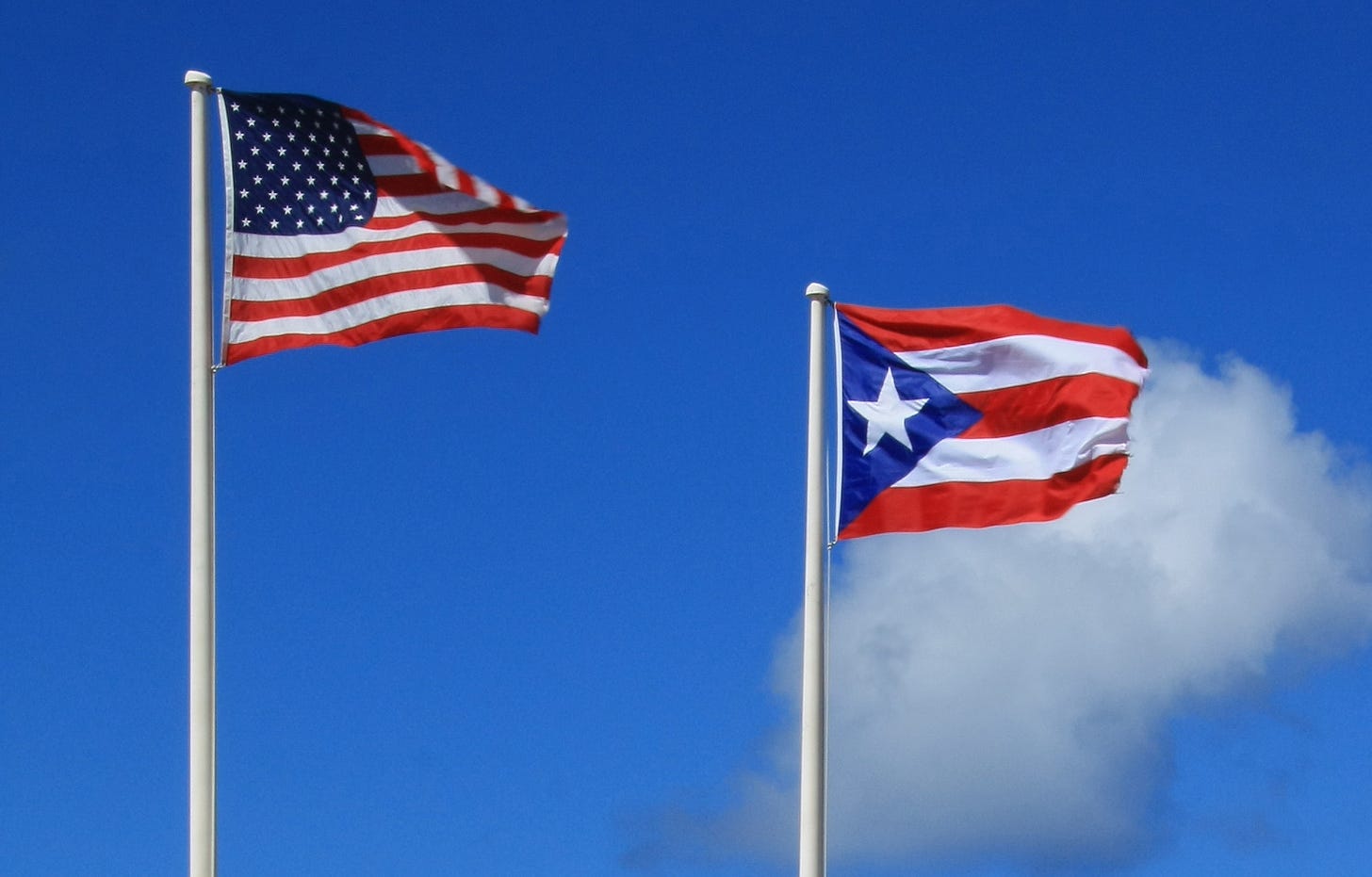 Afbeeldingsresultaat voor puerto rico flag