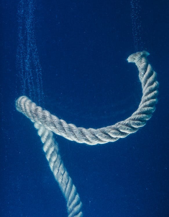 Underwater Photo of Brown Rope