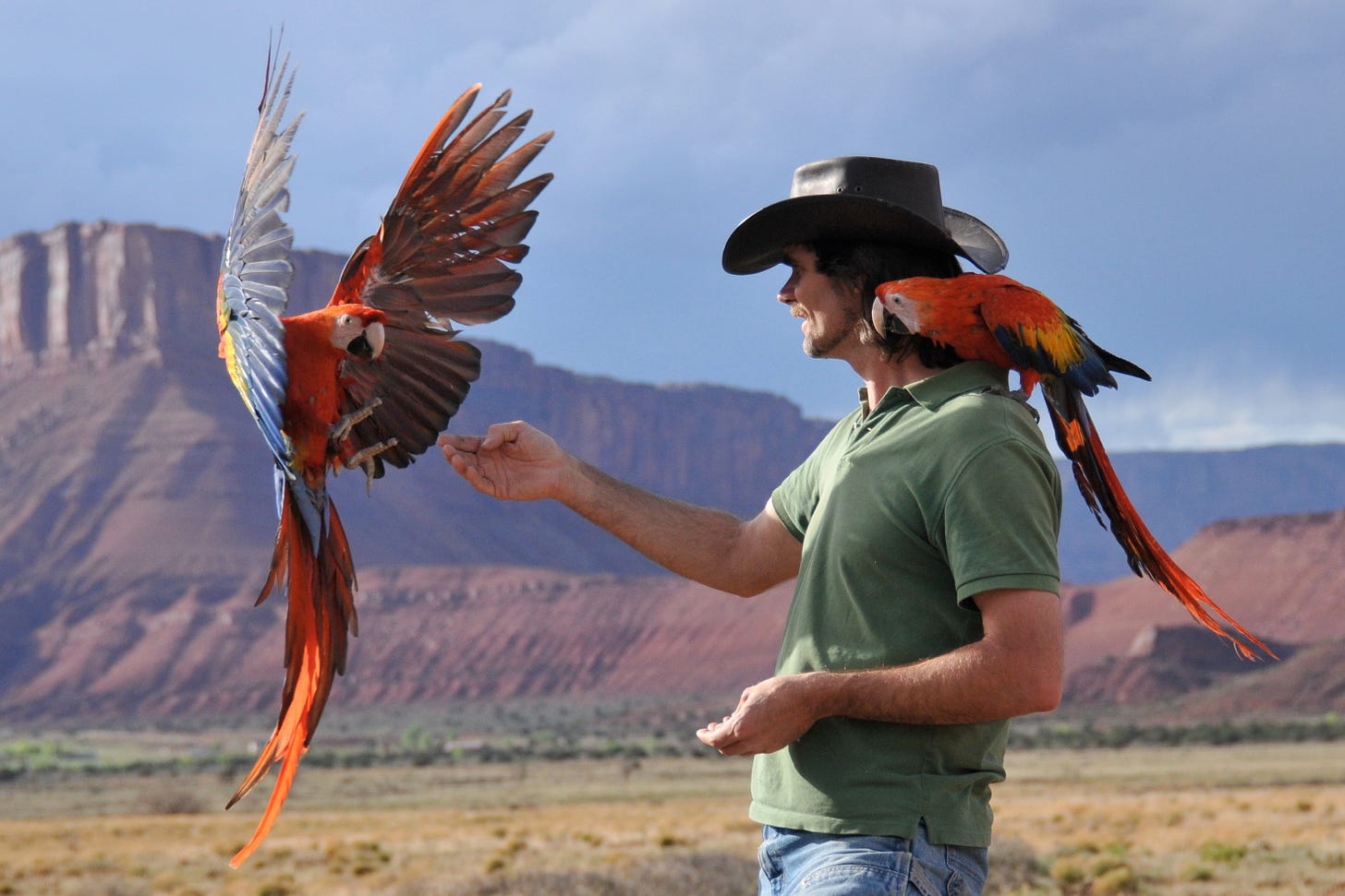 Helping Birds on the Brink of Extinction | Training | BirdRecoveryInternational.com