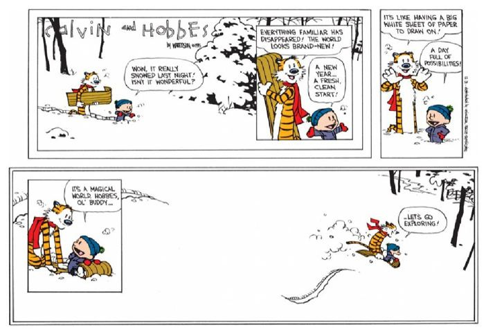 Calvin and Hobbes, Final