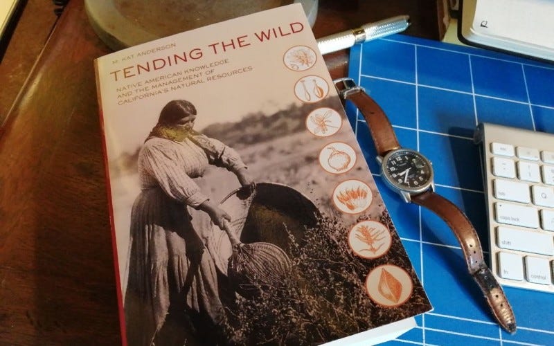 Tending the Wild book on a desk