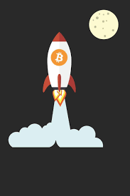 Bitcoin Rocket: Blank Lined Notebook for Cryptocurrency | 6x9 Inch | 120  Pages: Cryptocurrency Notebooks, Yellow Pencil: 9781688274563: Amazon.com:  Books