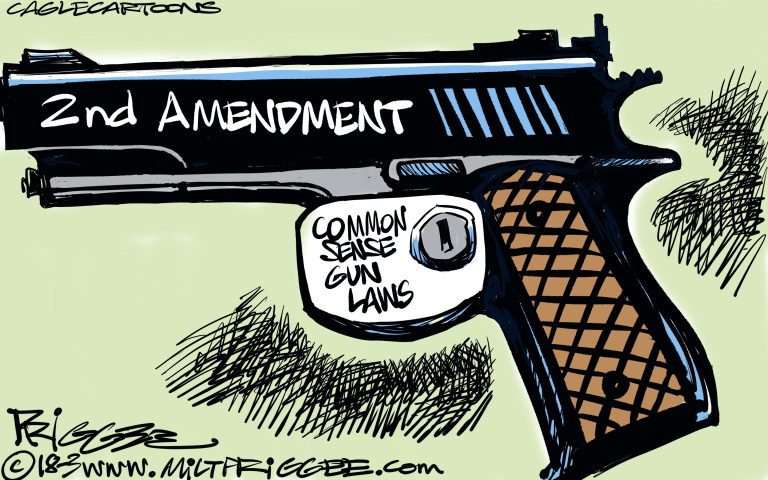 Republicans mass shootings NRA guns