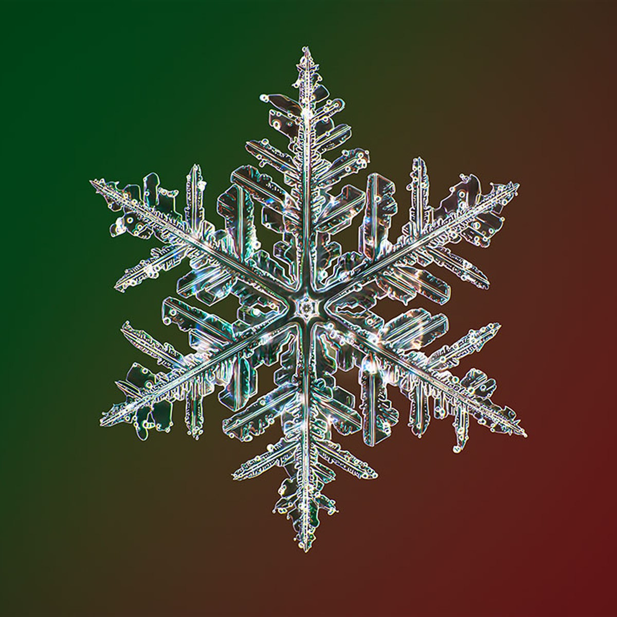 Photographer captures the highest resolution snowflake photos in the world:  Digital Photography Review