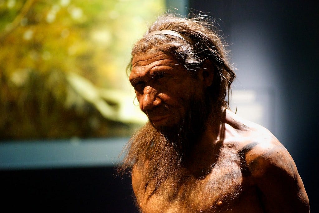 Our Cousin -Neanderthal | Britain: One Million Years of the … | Flickr