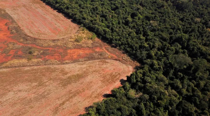 uma imagem aérea mostra desmatamento perto de uma floresta na fronteira entre a amazônia e o cerrado em nova xavantina, mato grosso