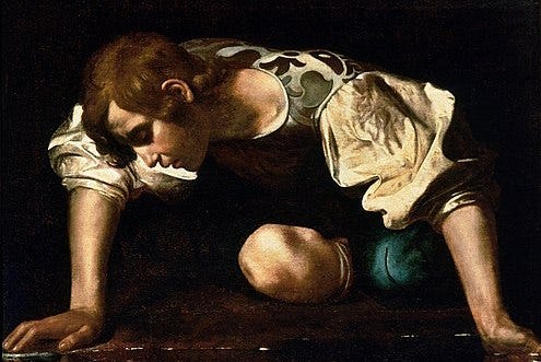 Painting of Narcissus peering into his reflection.
