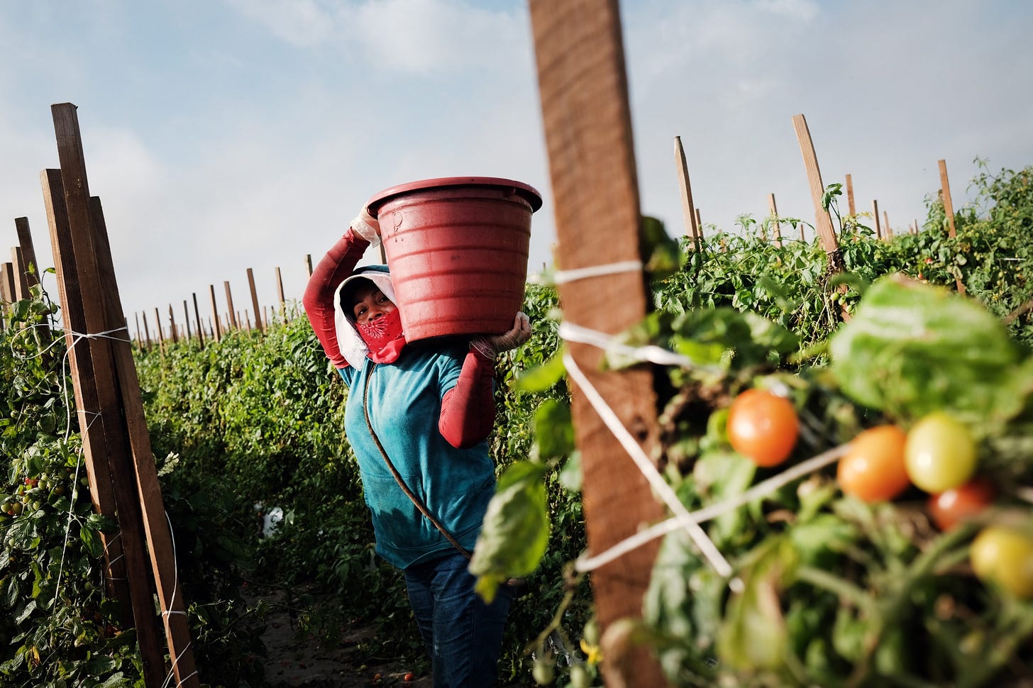 Florida Agriculture Takes Precautions For Workers Amid COVID-19 Pandemic