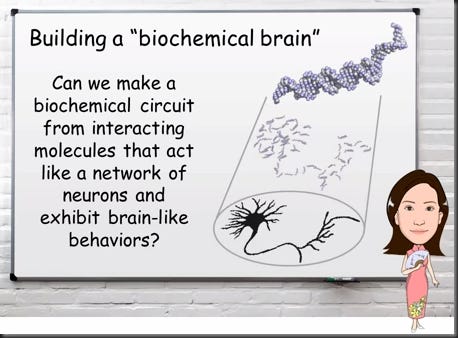 dna.biochemical.brain