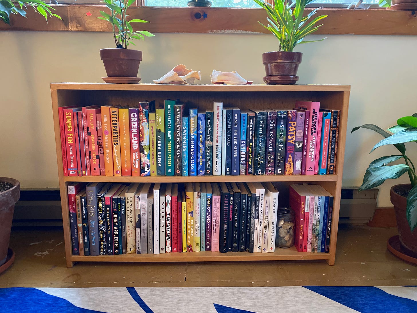 A low wooden shelf under a window, full of books arranged in rainbow colors. Two small potted plants and two broken conch shells sit on top of the shelf.