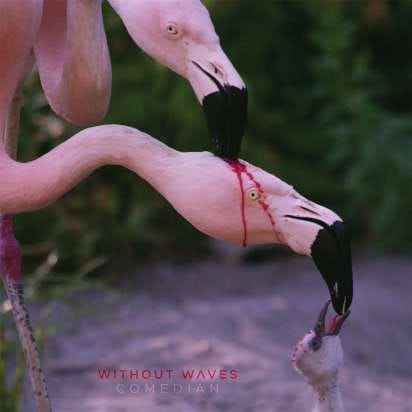 EIn Flamingo hackt einem anderen auf dem Kopf, der selbst gerade ein Babyflamingo füttert. Er blutet dabei