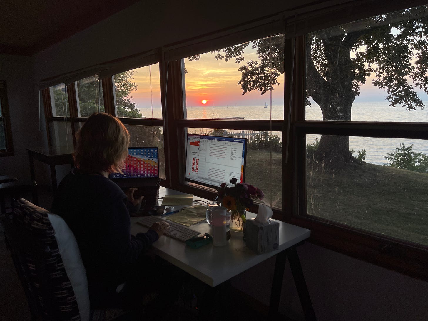 Lisa L. Kirchner facing a beautiful sunset on Lake Ontario and two big computer screens.