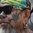 Weeding out foreigners: strains over Thailand's legalization of marijuana | Reuters