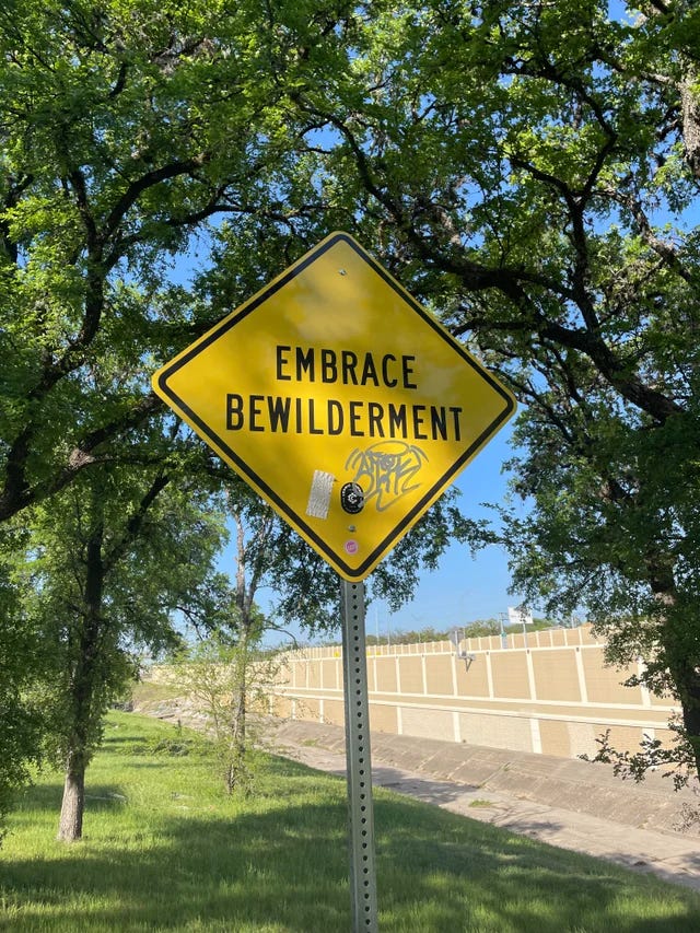 a caution sign that says embrace bewilderment
