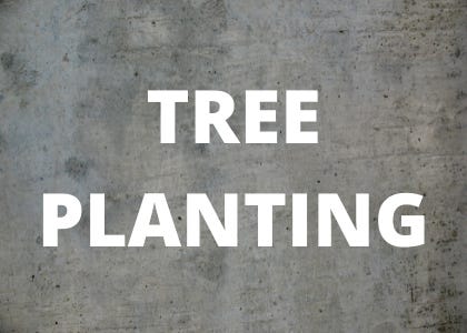 carbon removal newsroom podcast tree planting