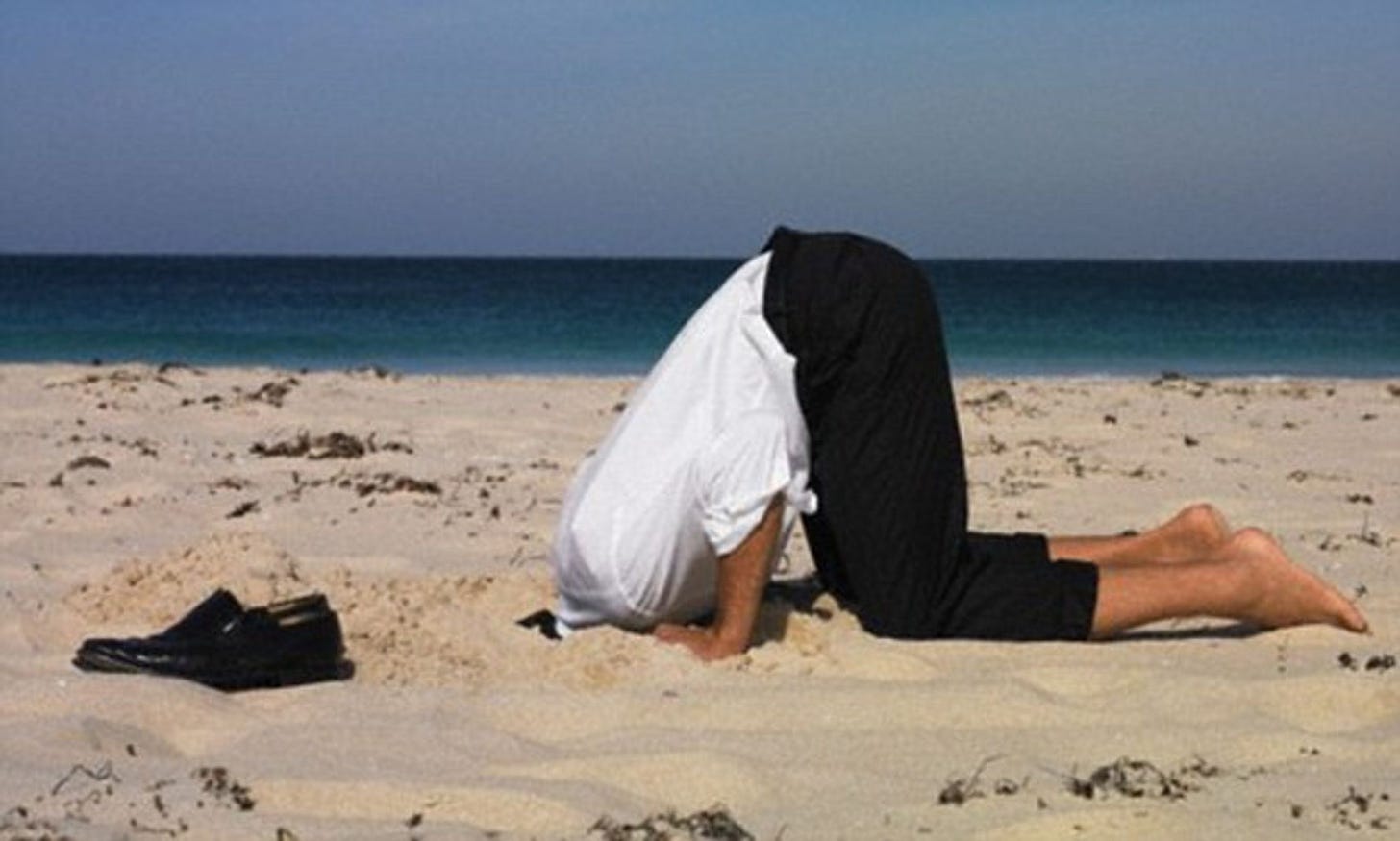 Burying your head in the sand? You&#39;re feeling guilty | Daily Mail Online