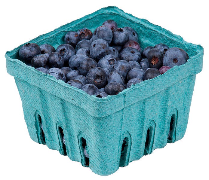 Blueberries in a moulded pulp punnet.