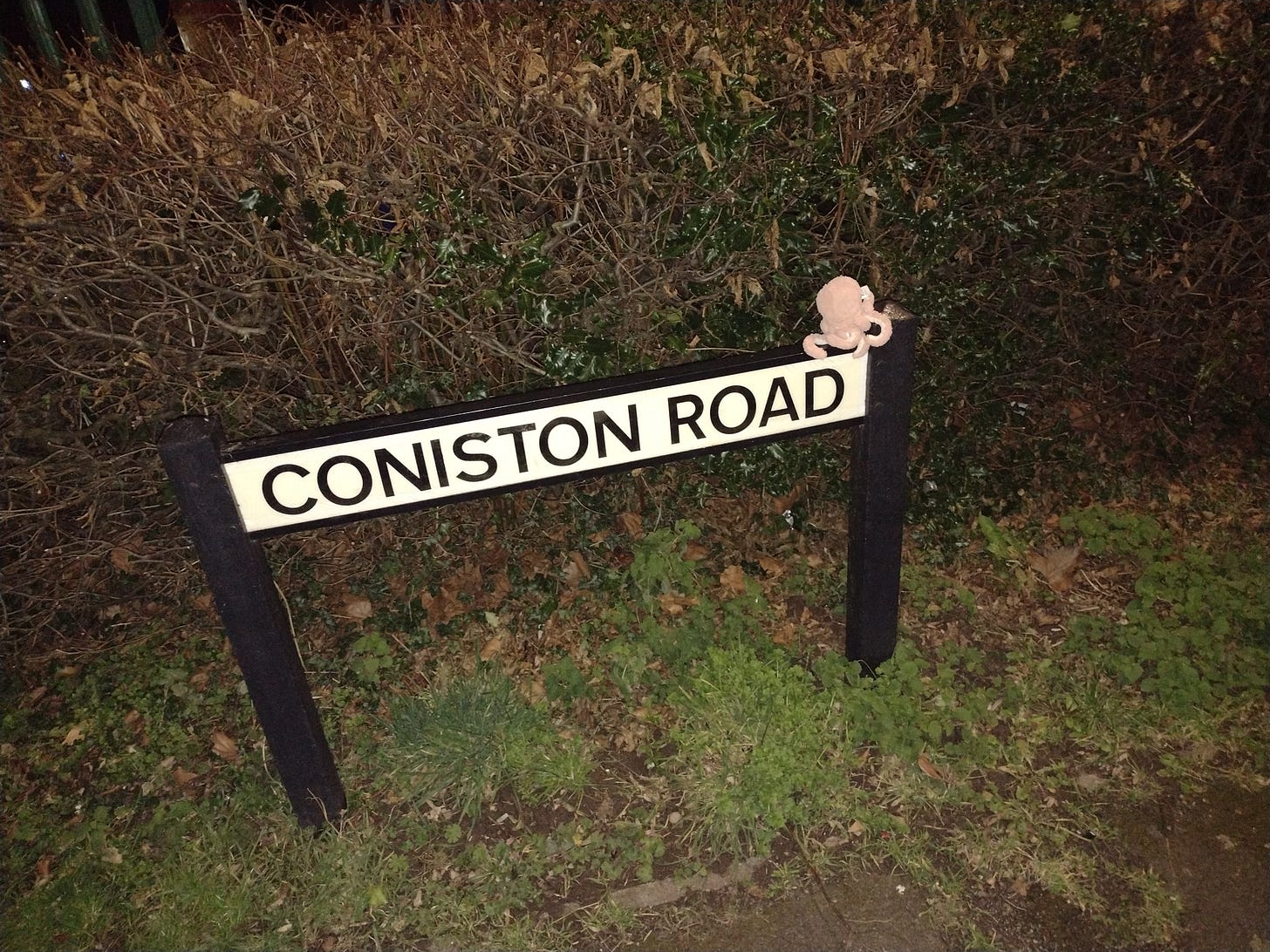 a street sign saying 'Coniston Road' has a cuddly octopus on top of it