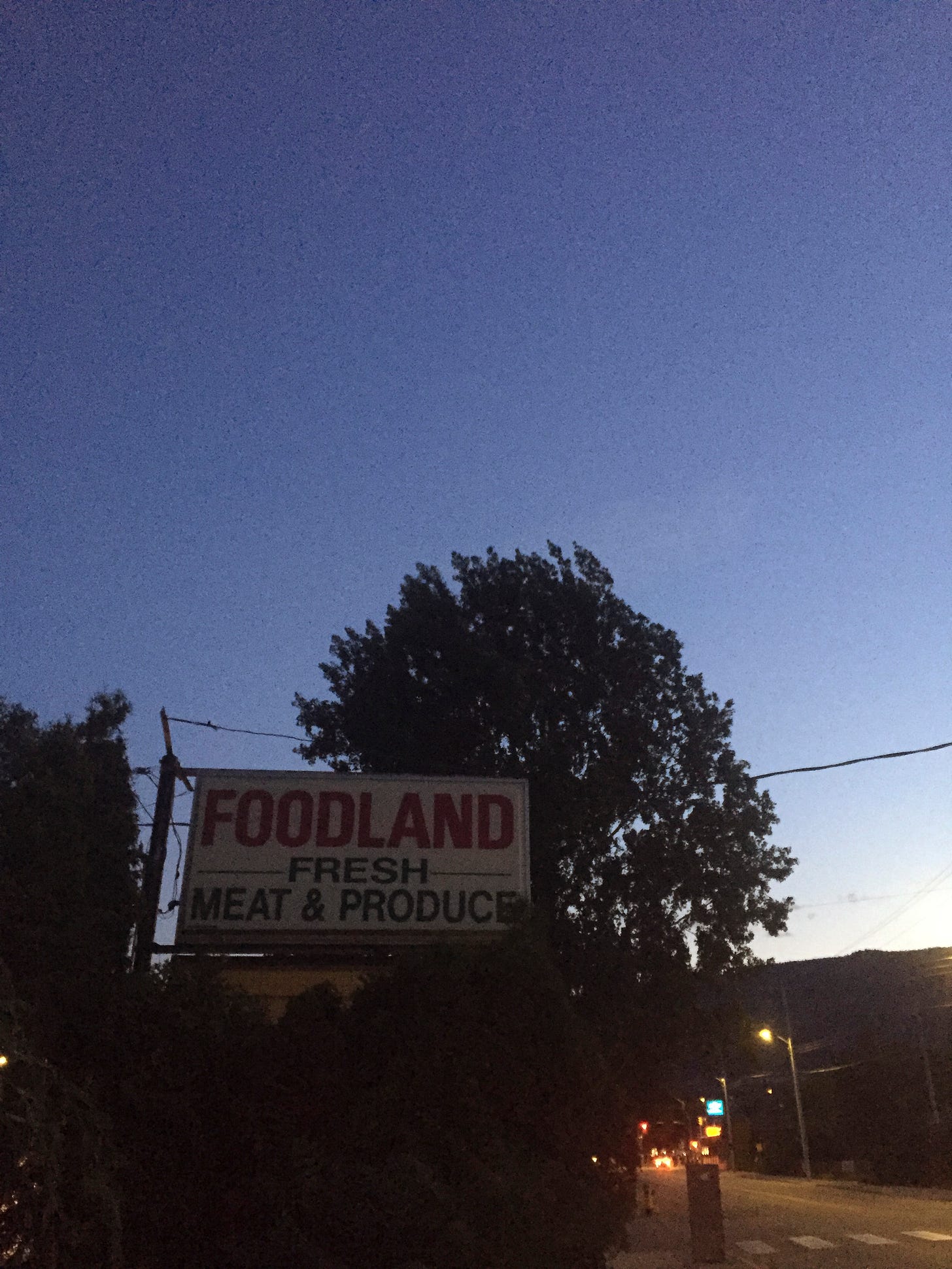 At twilight, a shop sign reading FOODLAND with the words 'fresh meat & produce' below it. In the background is a large tree, and streetlights lighting up the street to the right.