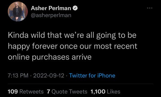 Tweet from Twitter user @asherperlman that reads "Kinda wild that we're all going to be happy forever once our most recent online purchases arrive" 