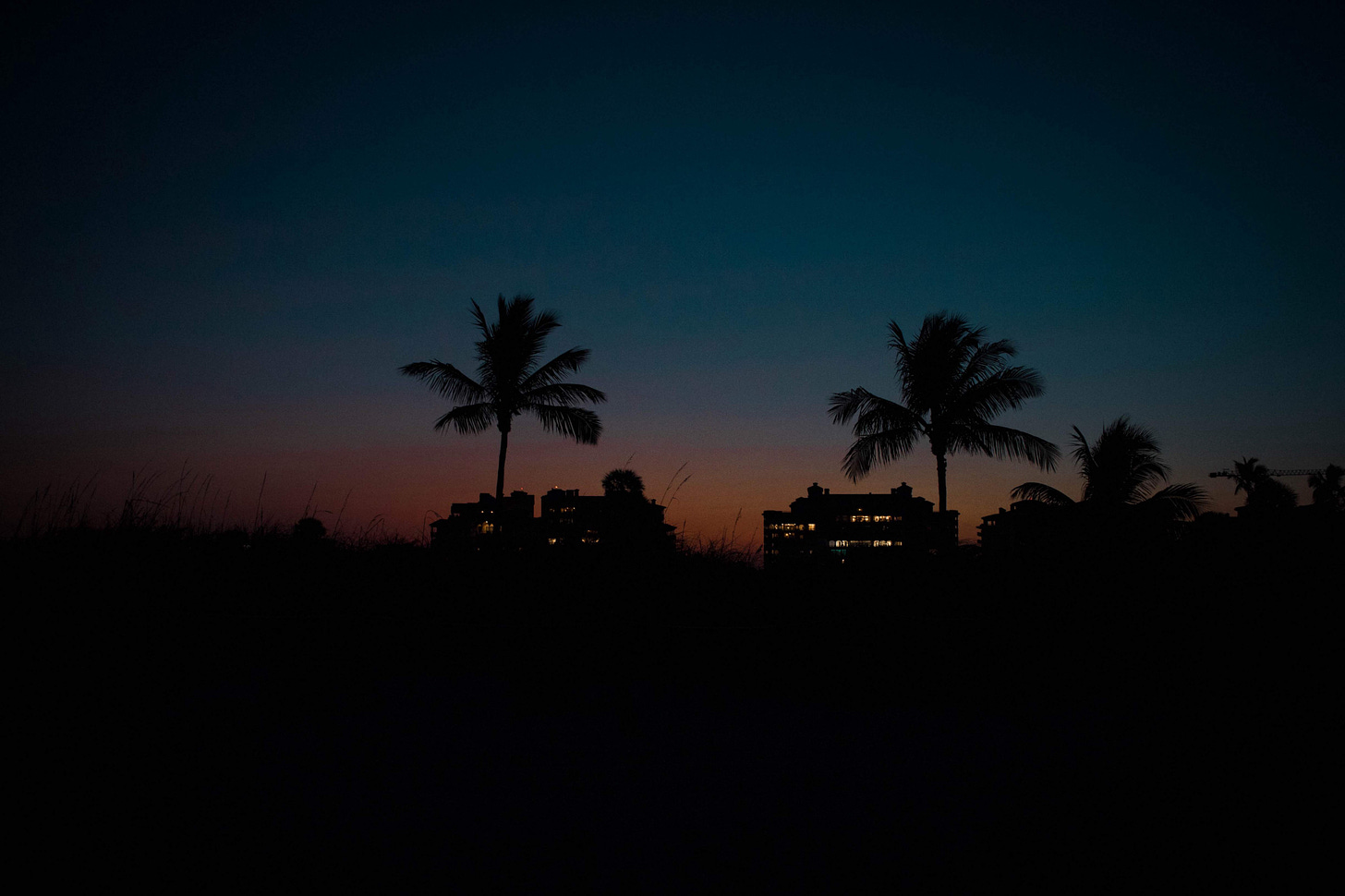 Palm trees and buildings silhouetted at night.