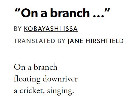 On a branch, a haiku by Kobaya Issa, translated by Jane Hirshfield: On a branch/floating downriver/a cricket, singing.