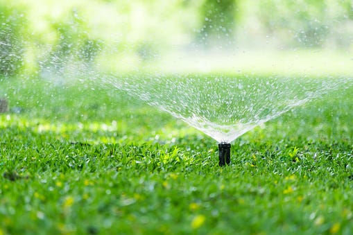 Sprinkler Pictures | Download Free Images on Unsplash