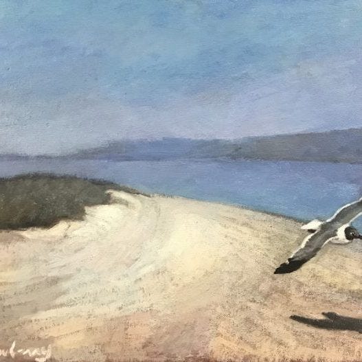 Newberry, Seagull at Picnic Island, 2020, oil on panel, 12x16"