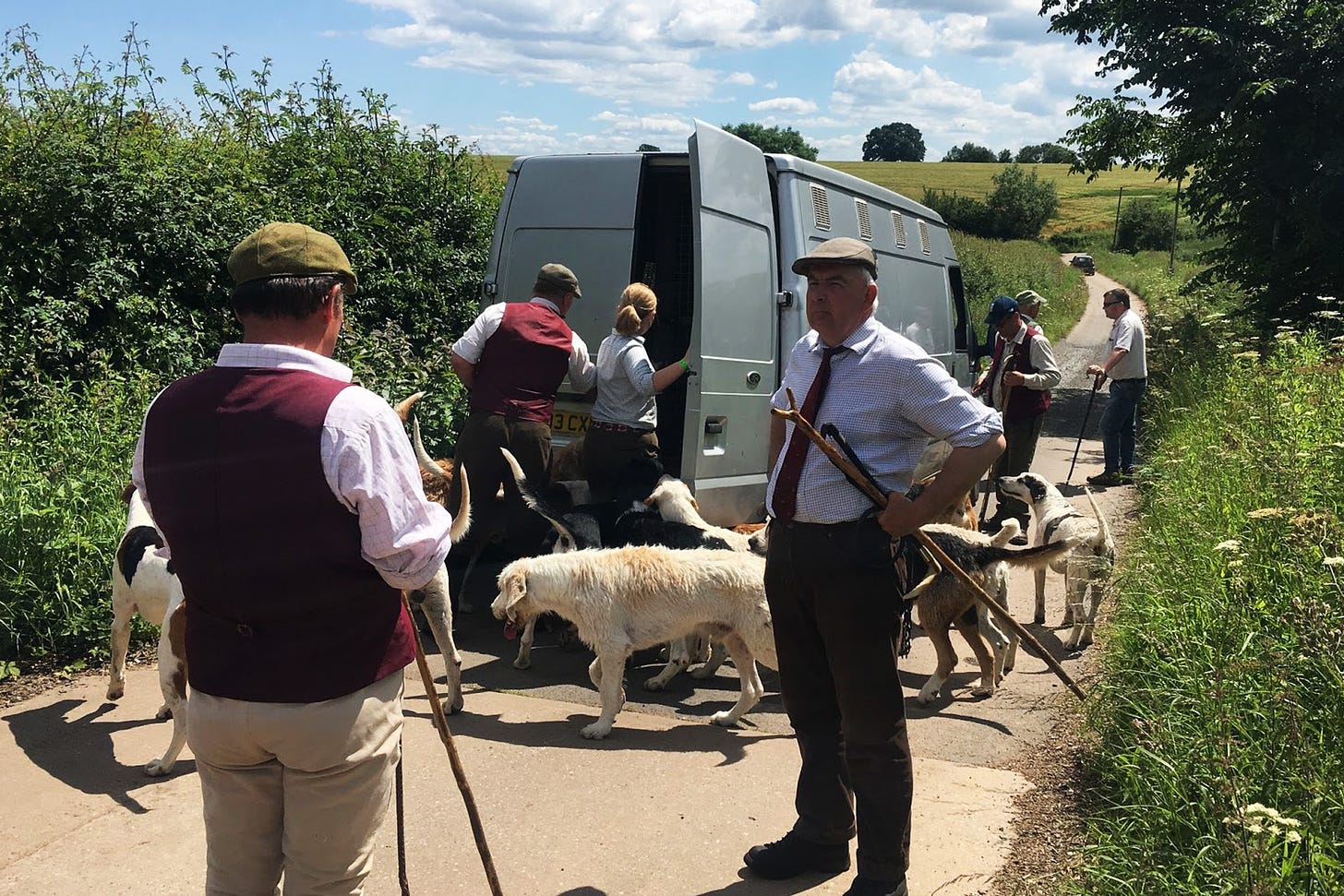Several members of Three Counties Mink Hounds are gathered on the road as hounds are loaded into the back of a transit van.