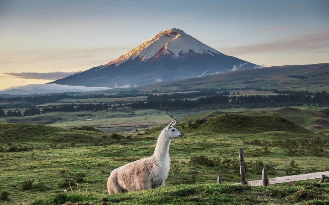 The perfect holiday in Ecuador – our expert's ultimate itinerary
