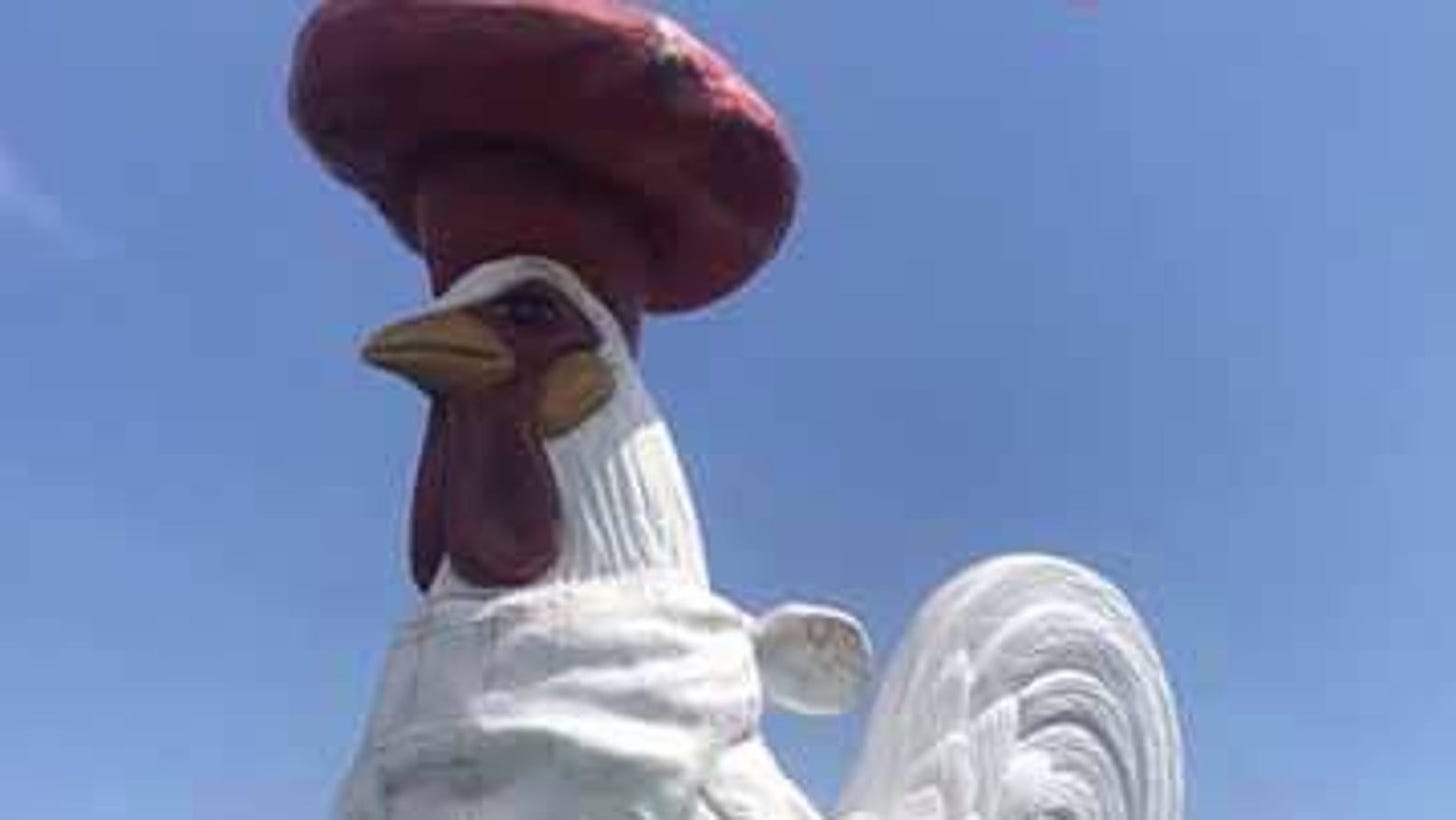 Rooster statue stolen from Osseo restaurant, owner offering reward