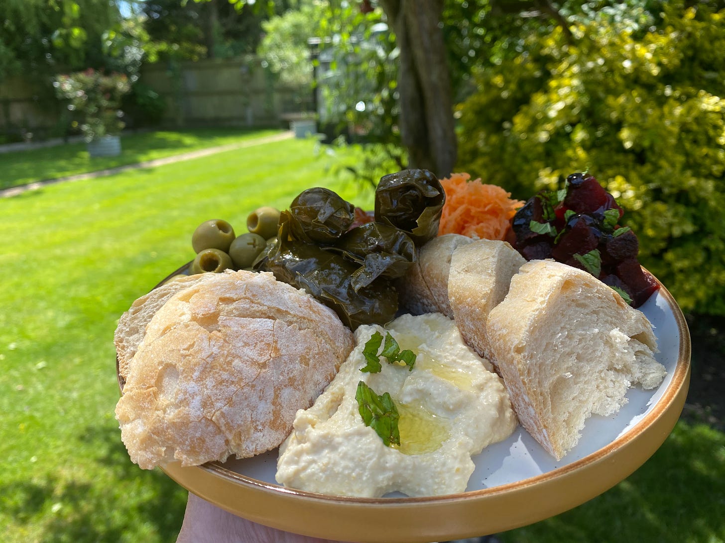 Platter of bread, houmous, vine leaves, carrot, beetroot and olives. Plate held up in the garden, trees and shrubs behind, next to a lawn.