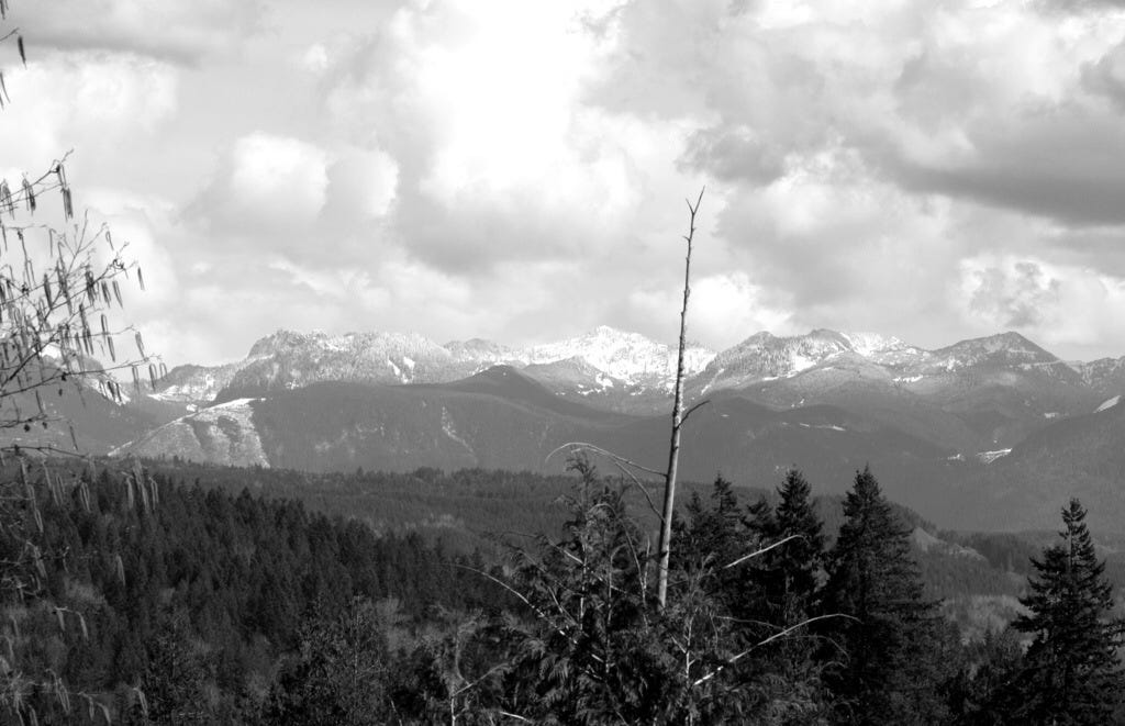 20140321-234359.jpg 20140321-234359.jpg