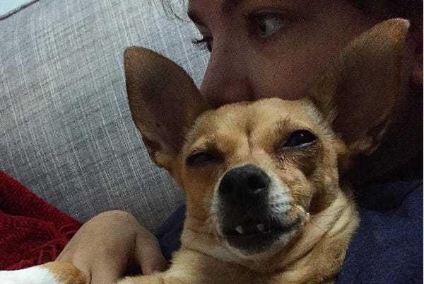 A boy and his goofy semi-toothed dog