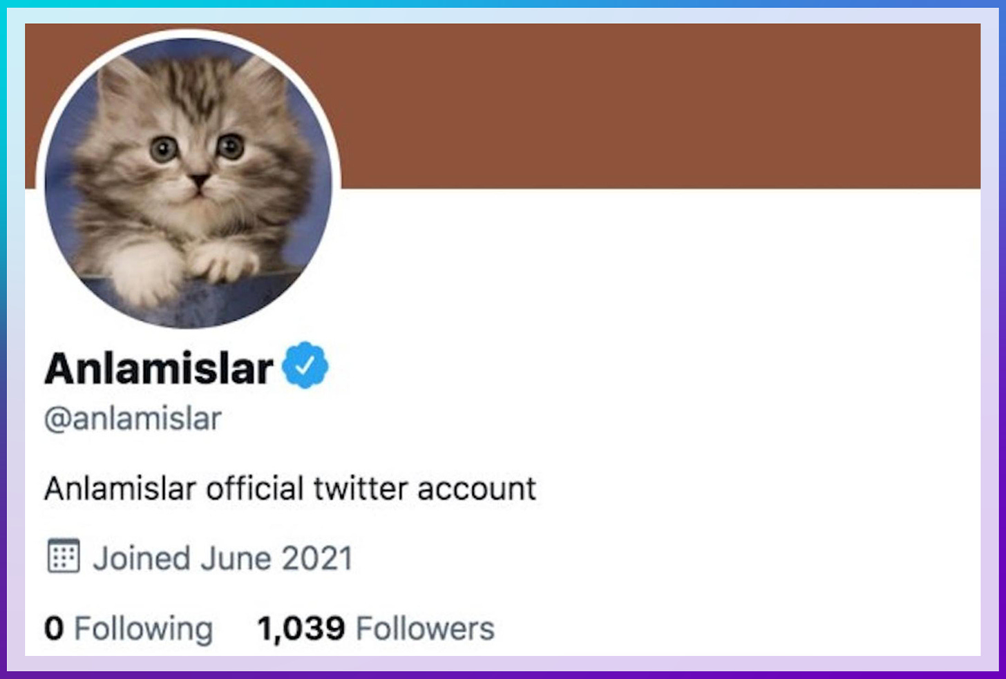 Image: Fake User Profile of Cat Verified By Twitter with Blue Check. Color: Blue. Direction: Left to Right. Anlamislar @anlamislar Anslamislar official twitter account. Joined June 2021. 0 Following. 1,039 Followers.