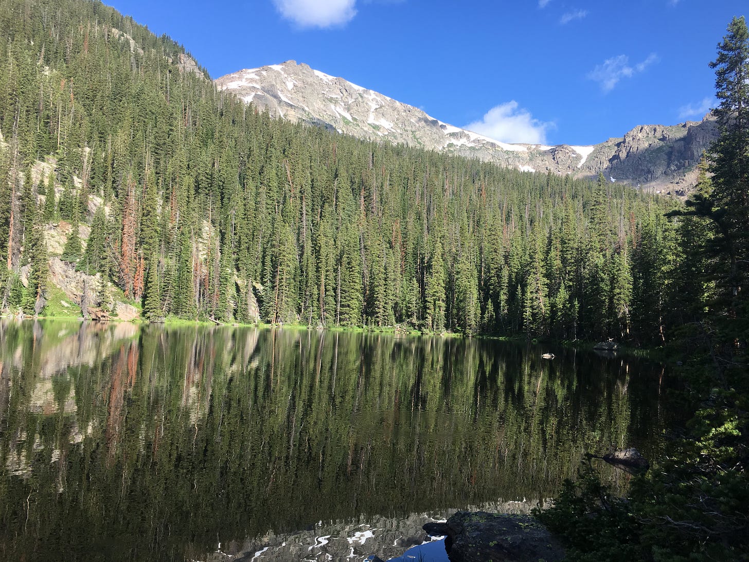 trees reflected in a lake beneath a craggy mountain