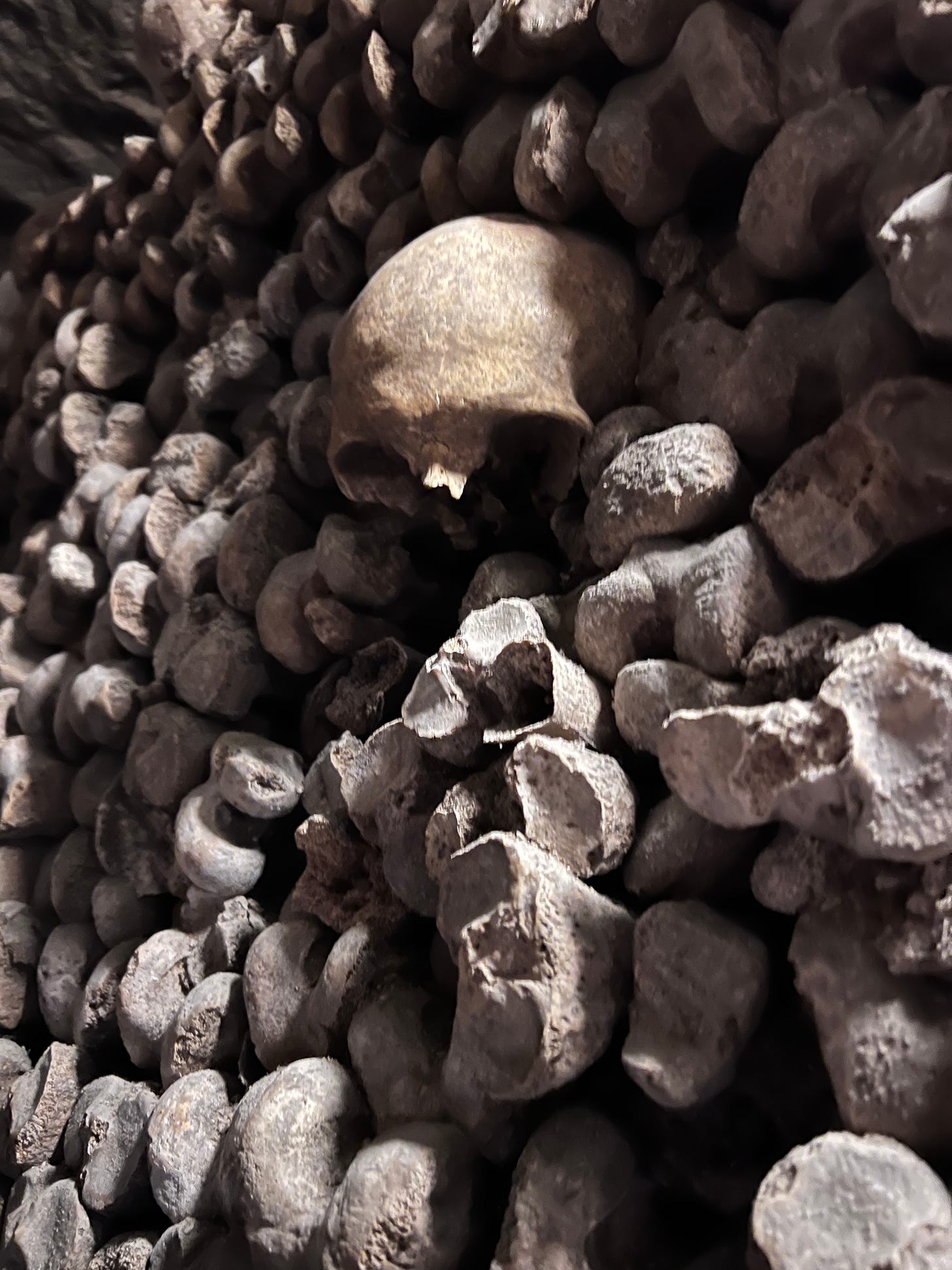 a close up of bones in the paris ossuary