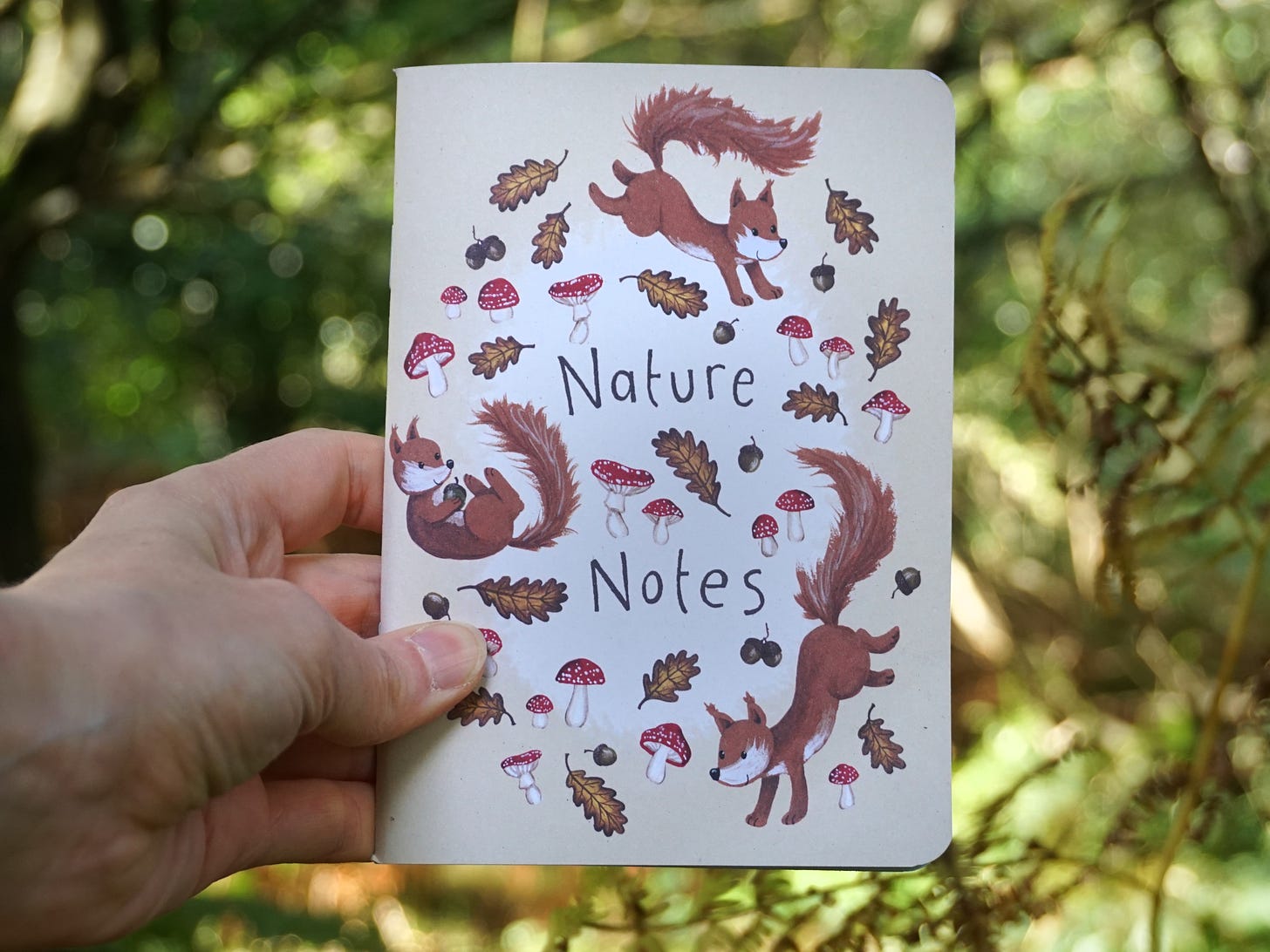 Image description: A white person's hand holds up a little notebook in front of some trees in the sunny woods. The cover of the notebook has rounded corners and is illustrated with tumbling squirrels, acorns, mushrooms and oak leaves.