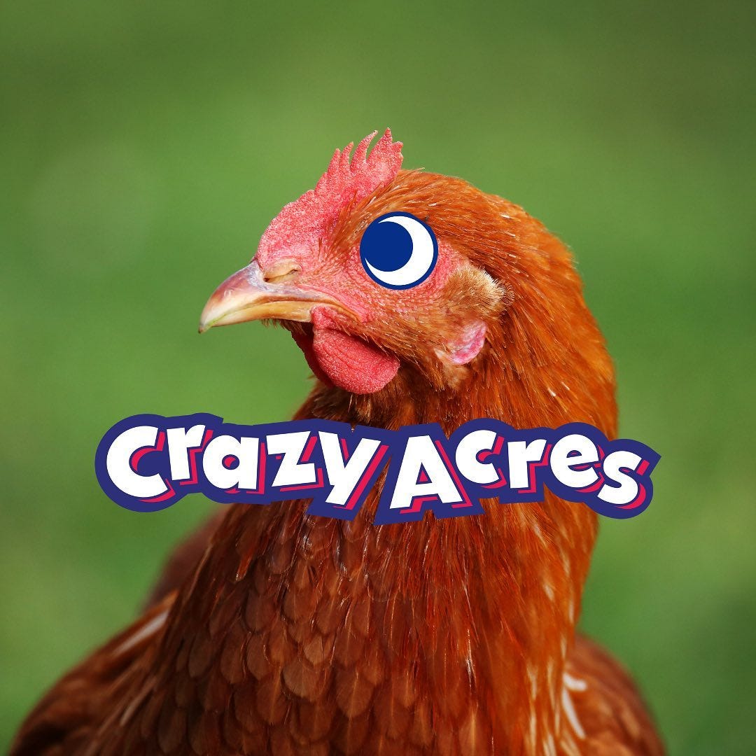 May be an image of game fowl and text that says 'O crazy Acres'