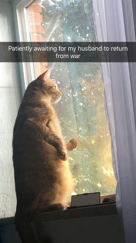 Brave wife waiting for her husband to return from the war (1945) - 9GAG