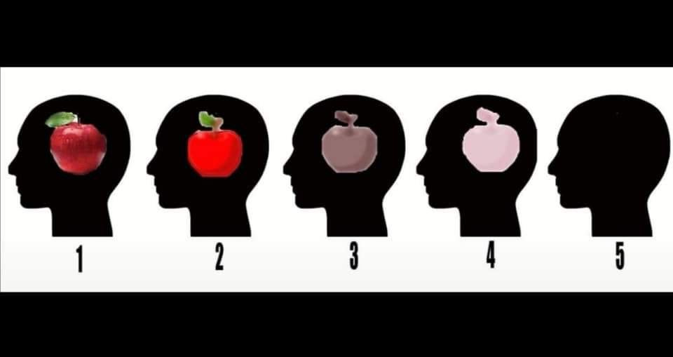 Are you a 1, 2, 3, 4 or 5 in this apple visualization exercise? 🍎 :  r/HelloInternet