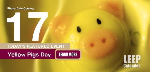Yellow Pigs Day celebrates math