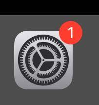 Settings icon has "1" badge after iOS 12.… - Apple Community