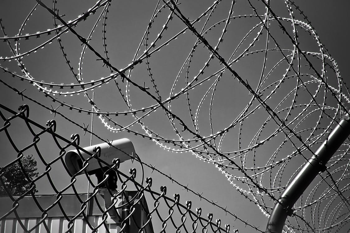 Free Grayscale Photo of Barbed Wire Stock Photo